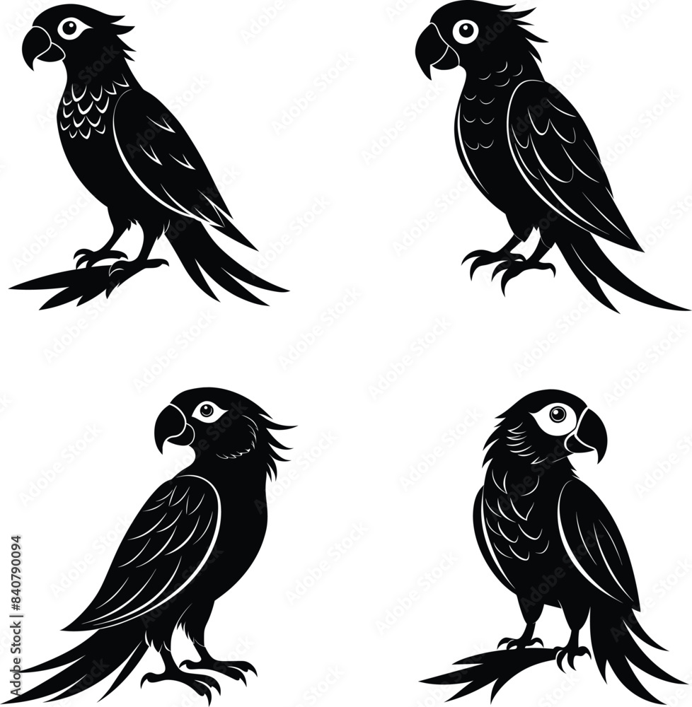 Set of silhouettes of sitting parrot in black in different poses isolated on a white background. Set of silhouettes of sitting parrot in black in different poses isolated on a white background.