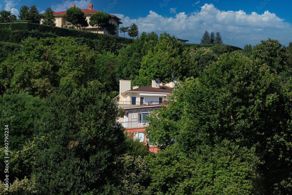 Southern cityscape, view of buildings and houses with green plants in public places in Turkey, sunny summer day in the city of Istanbul Southern cityscape, view of buildings and houses with green plants in public places in Turkey, sunny summer day in the city of Istanbul