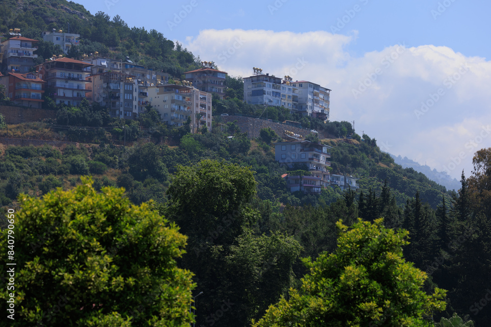 Fototapeta premium Southern cityscape, view of buildings and houses with green plants in public places in Turkey, sunny summer day in the city of Istanbul