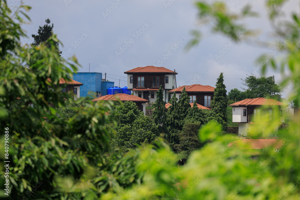 Southern cityscape, view of buildings and houses with green plants in public places in Turkey, sunny summer day in the city of Istanbul Southern cityscape, view of buildings and houses with green plants in public places in Turkey, sunny summer day in the city of Istanbul