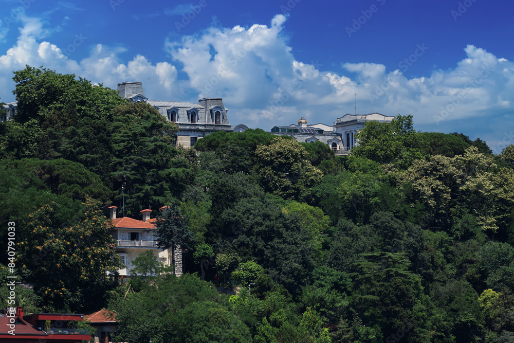 Obraz premium Cityscape, view of buildings and houses with green plants in public places in Turkey, sunny summer day in the city of Istanbul