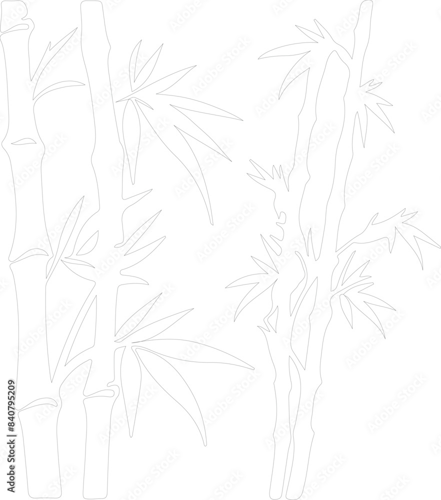 bamboo shoots outline bamboo shoots outline