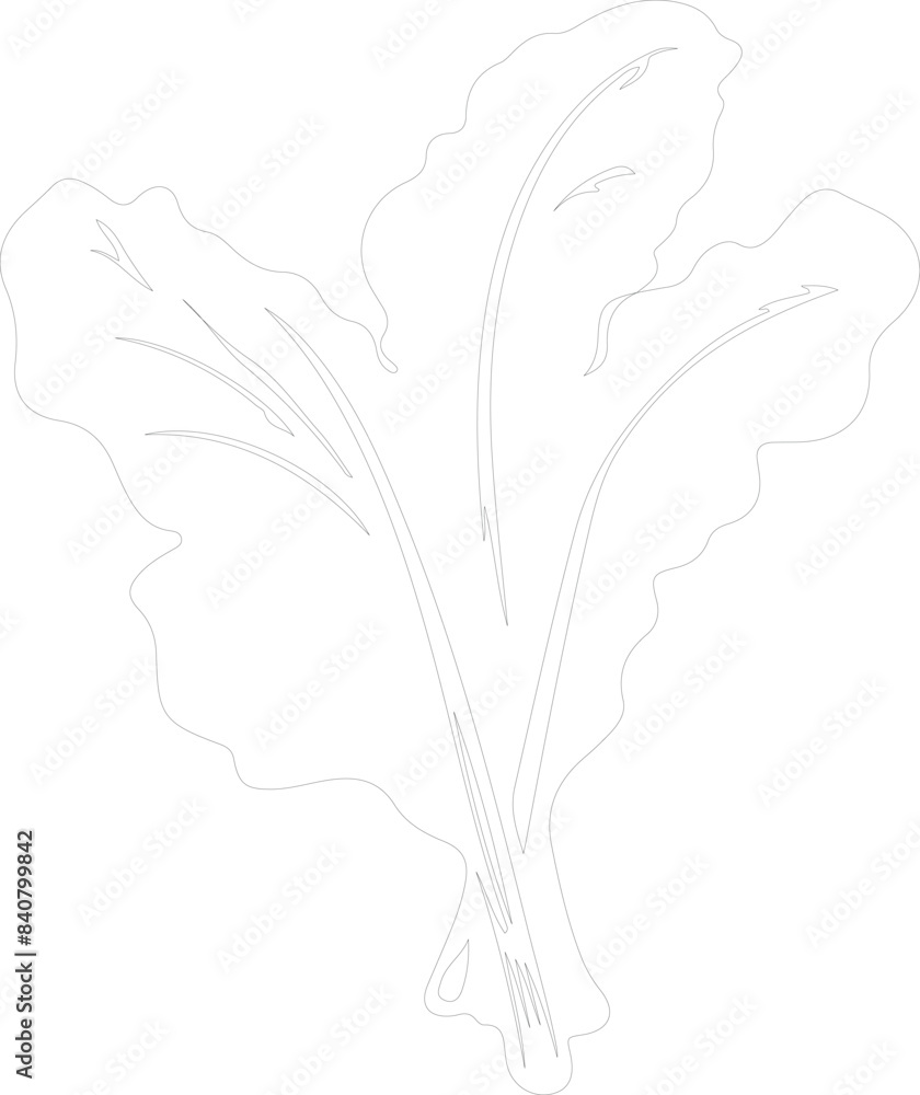 chard outline chard outline