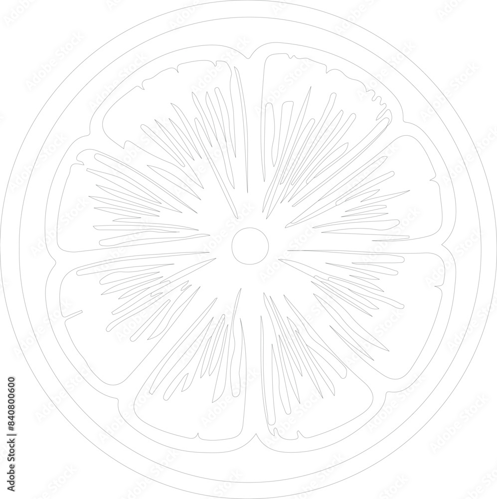 Obraz premium citron outline