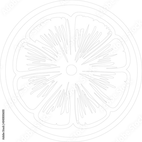citron outline