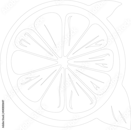 citron outline