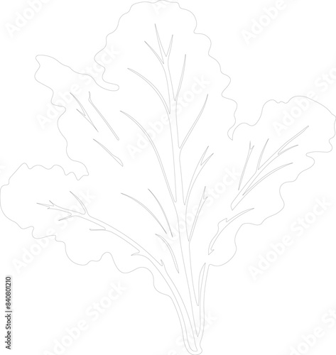 collard greens outline