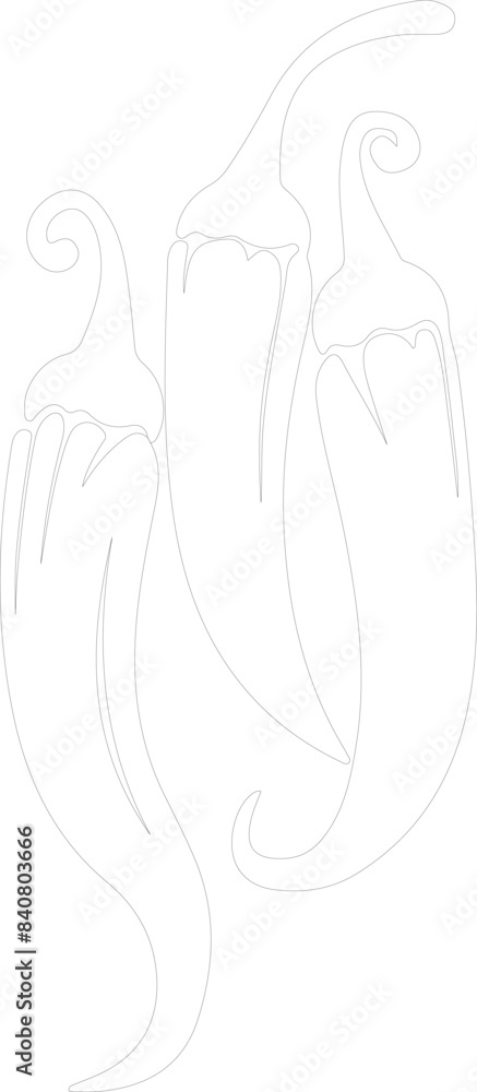 hot chili peppers outline hot chili peppers outline