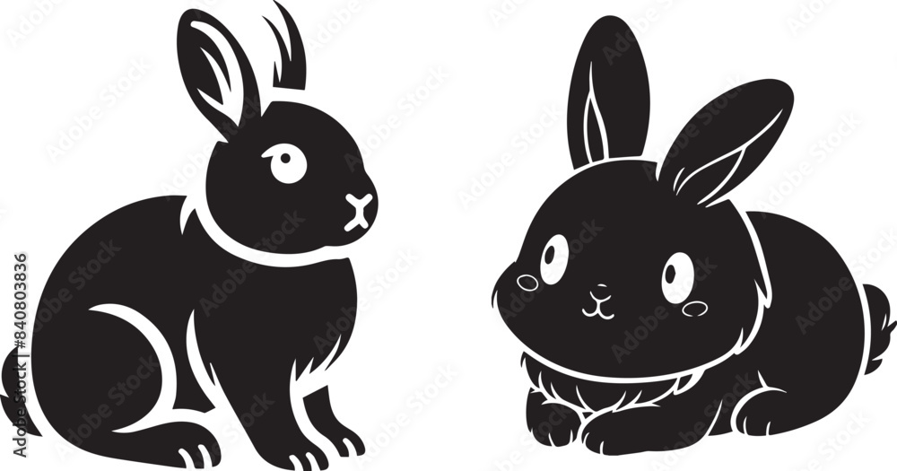 Fototapeta premium two rabbits on a white background