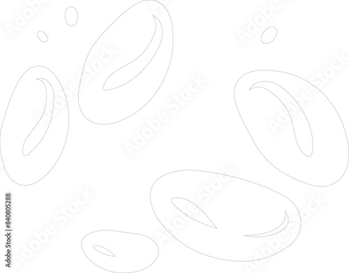 lima bean outline