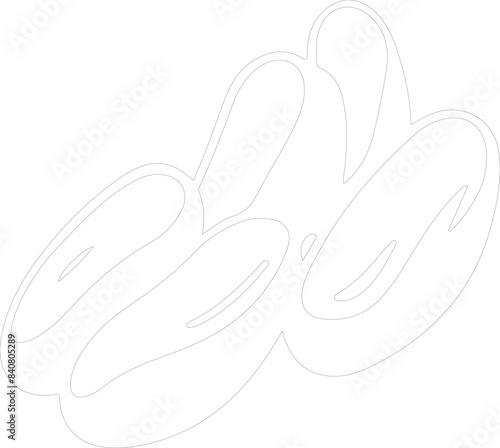 lima bean outline