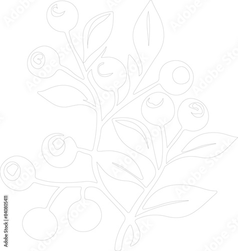 lingonberry outline
