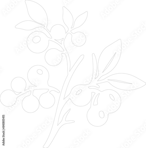 lingonberry outline