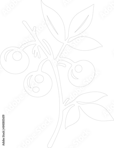 lingonberry outline