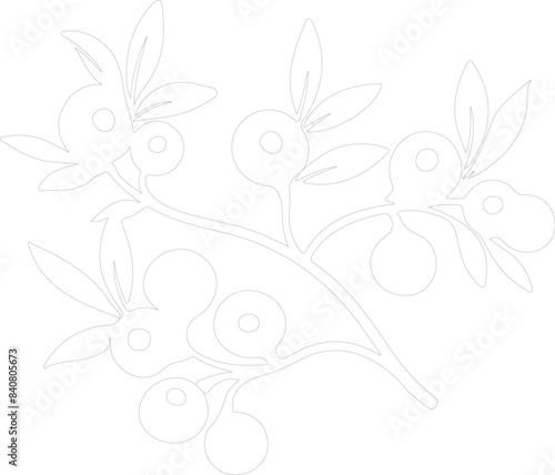 lingonberry outline