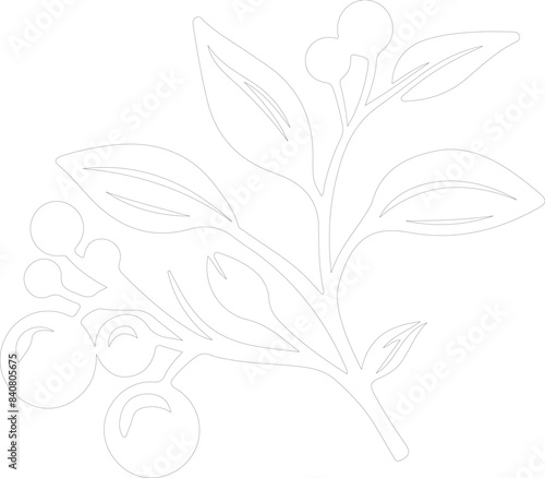 lingonberry outline