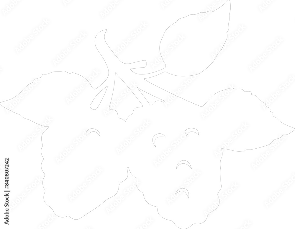 marionberry outline marionberry outline