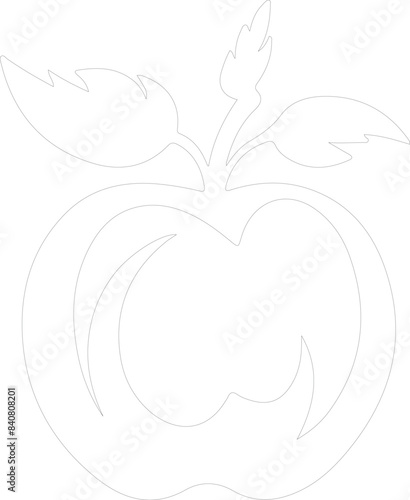 nectarine outline