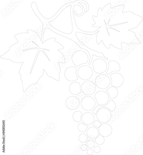 raisin outline