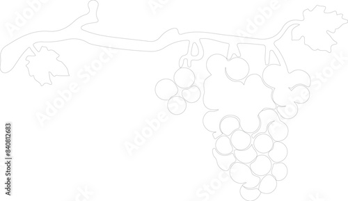 raisin outline