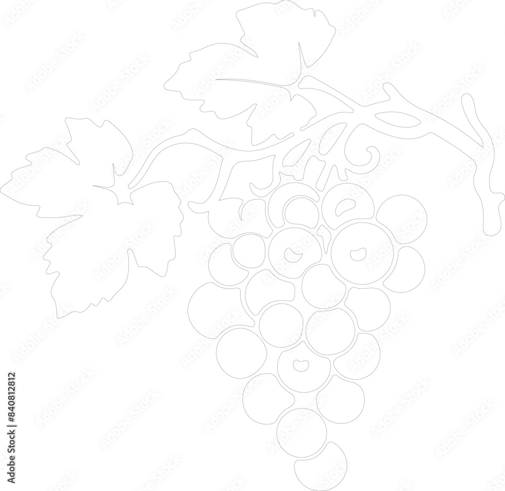 raisin outline raisin outline