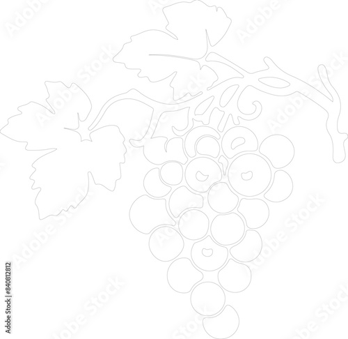 raisin outline