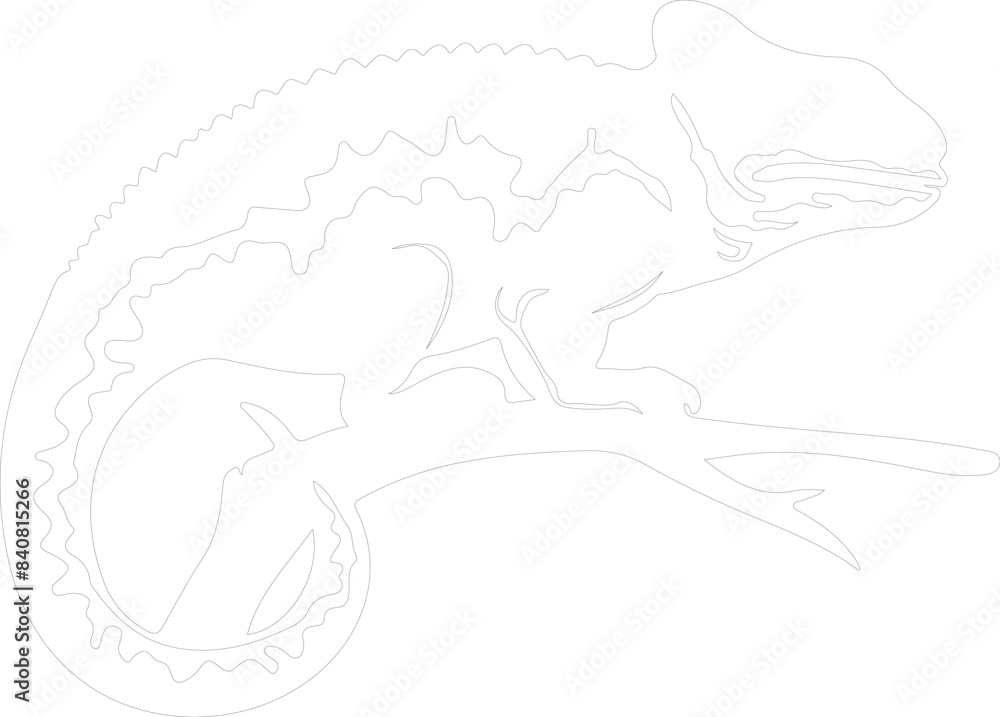 Fototapeta premium veiled chameleon outline