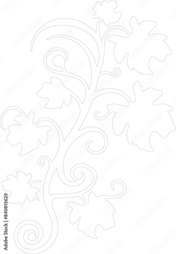Obraz premium vinegarroon outline