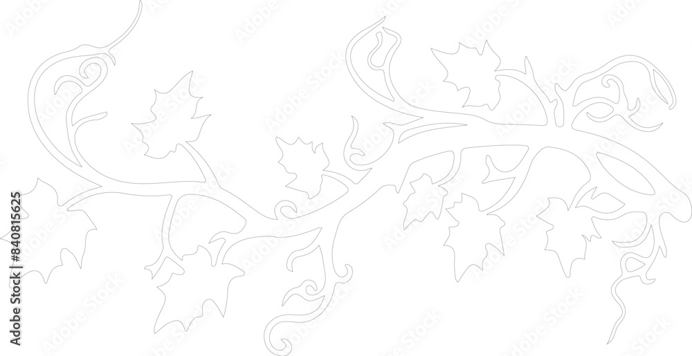 vinegarroon outline vinegarroon outline