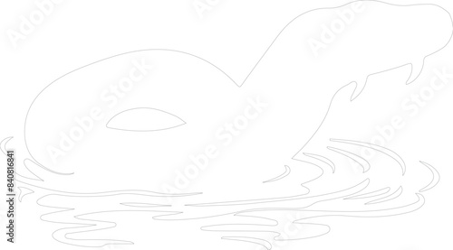 water moccasin outline