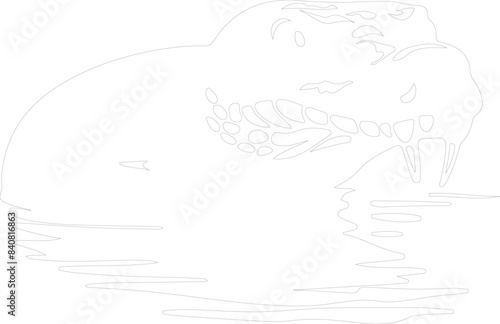 water moccasin outline