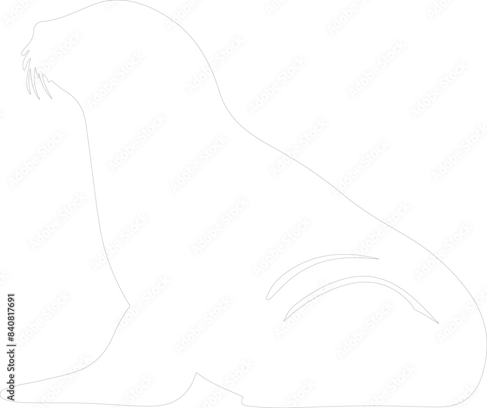 Weddell seal outline Weddell seal outline