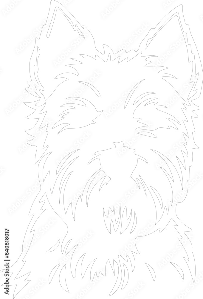 Fototapeta premium west highland white terrier outline