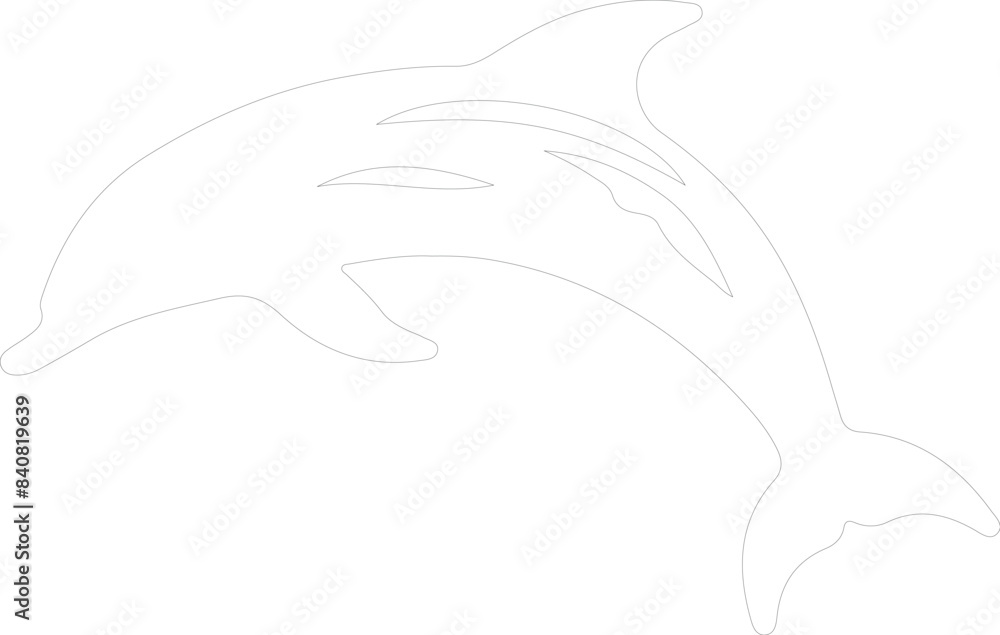 white-spotted dolphin outline white-spotted dolphin outline