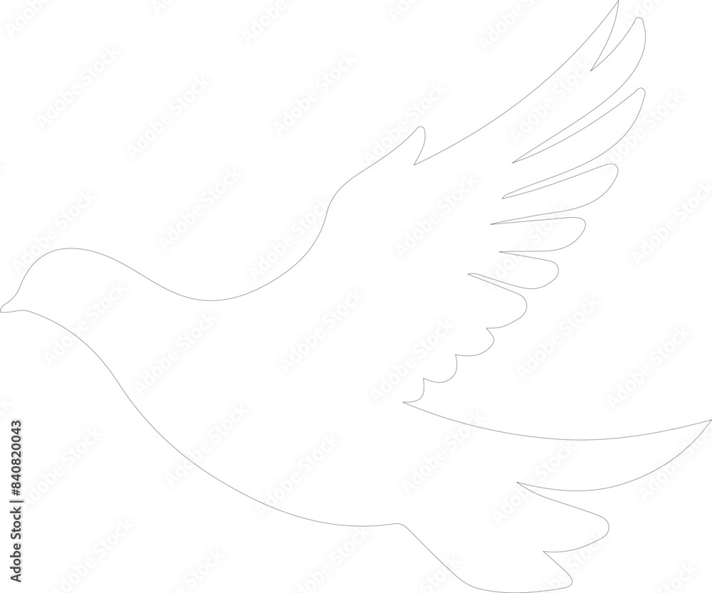 white dove outline white dove outline