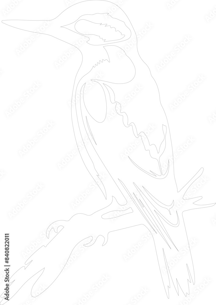woodpecker outline woodpecker outline