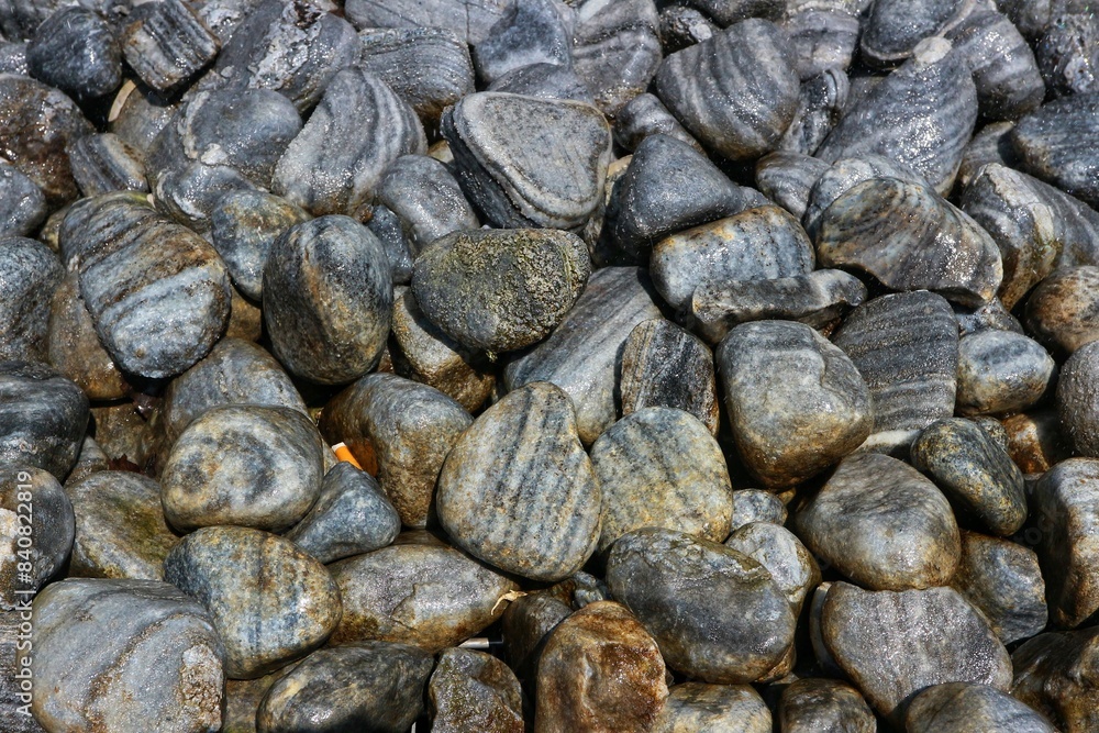 A pile of wet colorful pebbles filling the entire frame. A pile of wet colorful pebbles filling the entire frame.