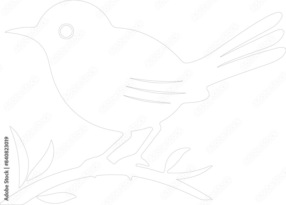 Obraz premium wren outline