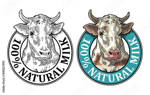 Cows head. 100 Natural Milk. Vintage vector engraving