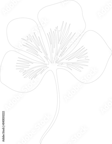 taro outline