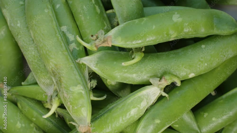 Pea Pods, Fresh Greens rotating top view. Pea Pods, Fresh Greens rotating top view.