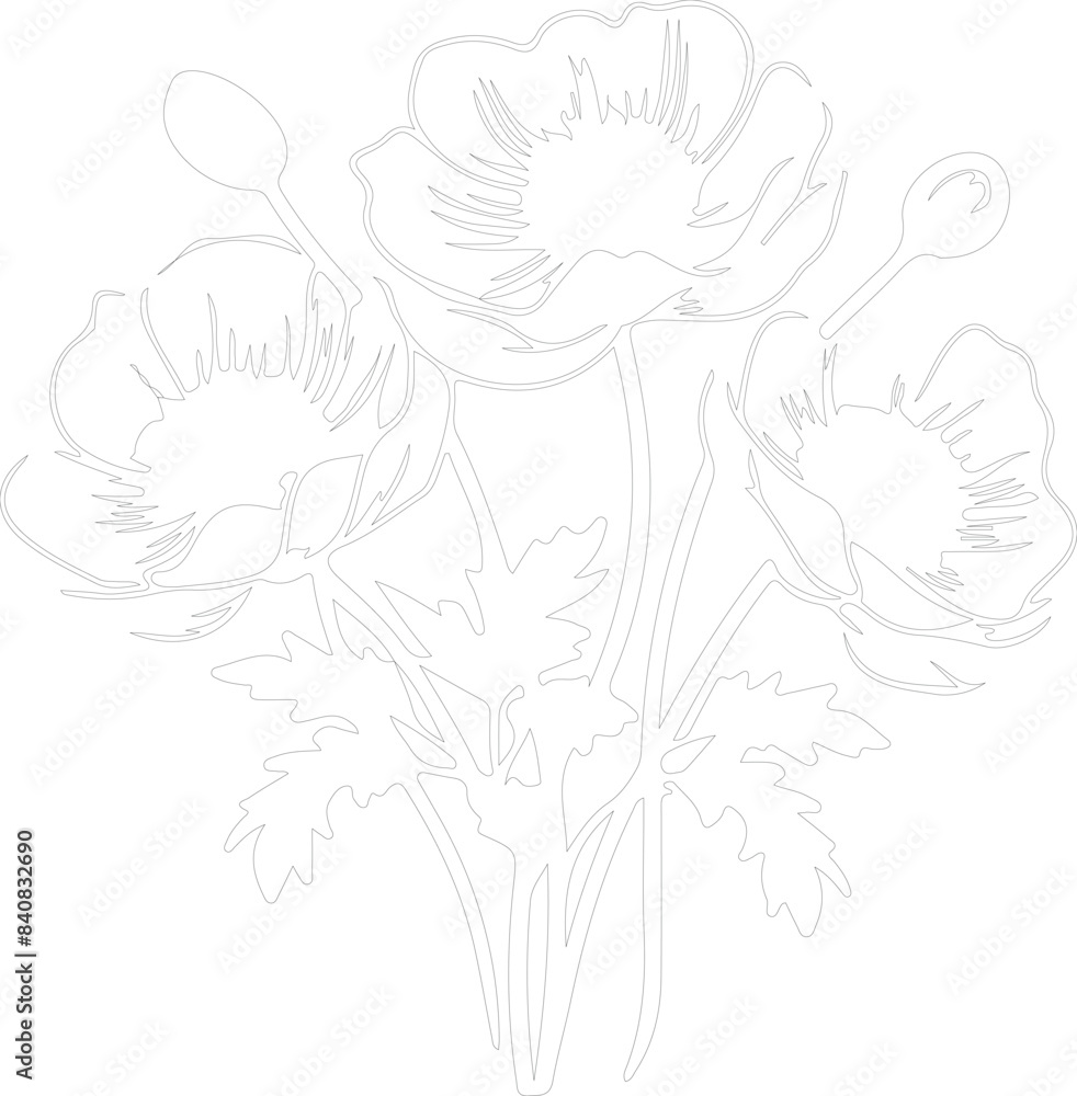 anemone outline anemone outline