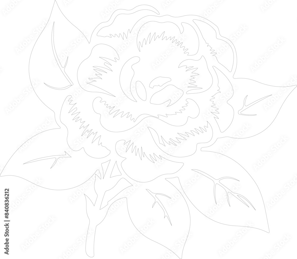 camellia outline camellia outline