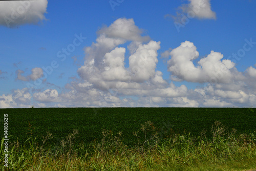 campo sembrado bajo cielo azul con nubes de algodón
