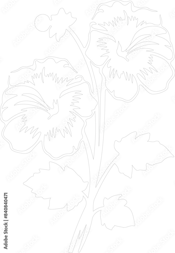 hollyhock outline hollyhock outline