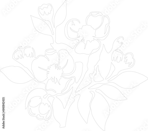 mock orange outline