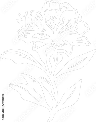 rhododendron outline