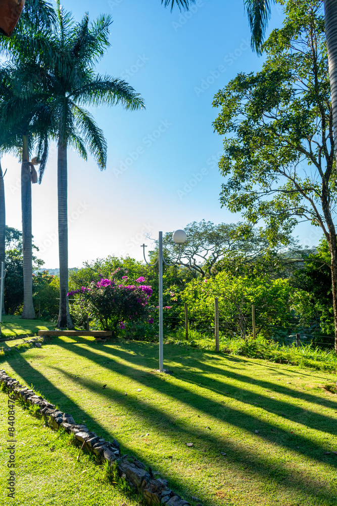 Fototapeta premium Tropical rural landscape. Garden. Trees. Palm trees. Blue sky with clouds. Space for advertising. Vertical.