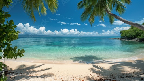 Tropical Beach With White Sand and Turquoise Waters on a Sunny Day