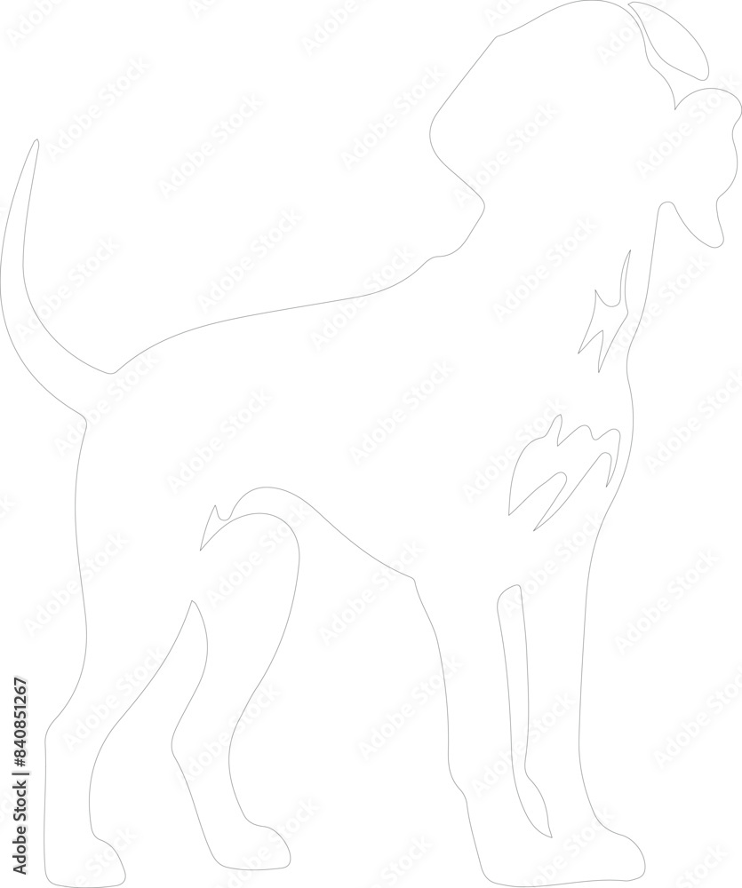 Fototapeta premium American Foxhound outline